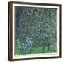 Roses Under the Trees, circa 1905-Gustav Klimt-Framed Giclee Print