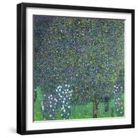 Roses Under the Trees, circa 1905-Gustav Klimt-Framed Giclee Print