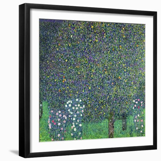 Roses Under the Trees, circa 1905-Gustav Klimt-Framed Giclee Print