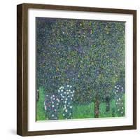 Roses Under the Trees, circa 1905-Gustav Klimt-Framed Giclee Print