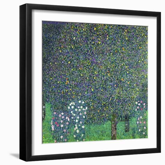 Roses Under the Trees, circa 1905-Gustav Klimt-Framed Giclee Print