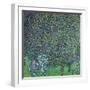 Roses Under the Trees, circa 1905-Gustav Klimt-Framed Giclee Print