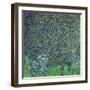 Roses Under the Trees, circa 1905-Gustav Klimt-Framed Giclee Print