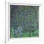 Roses Under the Trees, circa 1905-Gustav Klimt-Framed Giclee Print