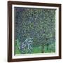 Roses Under the Trees, circa 1905-Gustav Klimt-Framed Giclee Print