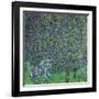 Roses Under the Trees, circa 1905-Gustav Klimt-Framed Giclee Print