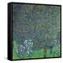 Roses Under the Trees, circa 1905-Gustav Klimt-Framed Stretched Canvas