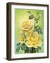 Roses Yellow-Olga And Alexey Drozdov-Framed Giclee Print