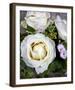 Roses-Catherine Beyler-Framed Art Print