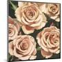 Roses-Elizabeth Hellman-Mounted Giclee Print