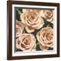 Roses-Elizabeth Hellman-Framed Giclee Print