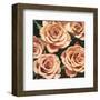 Roses-Elizabeth Hellman-Framed Art Print