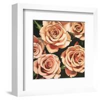 Roses-Elizabeth Hellman-Framed Art Print