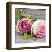 Roses-Catherine Beyler-Framed Art Print