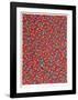 Roses-Tony Bechara-Framed Limited Edition