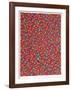 Roses-Tony Bechara-Framed Limited Edition