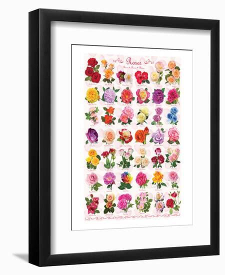 Roses-null-Framed Art Print