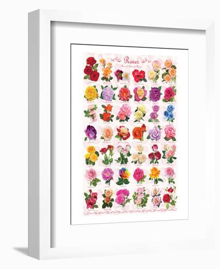 Roses-null-Framed Art Print