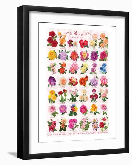 Roses-null-Framed Art Print