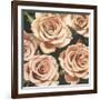 Roses-Elizabeth Hellman-Framed Art Print