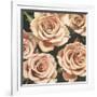 Roses-Elizabeth Hellman-Framed Art Print