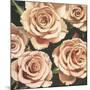 Roses-Elizabeth Hellman-Mounted Art Print
