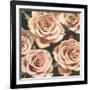 Roses-Elizabeth Hellman-Framed Art Print