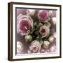 Roses-Katja Marzahn-Framed Giclee Print