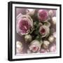 Roses-Katja Marzahn-Framed Giclee Print