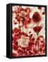 Roses-George Silk-Framed Stretched Canvas