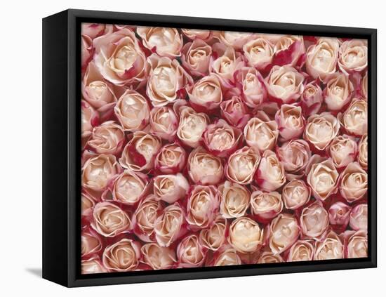 Roses-Brigitte Wegner-Framed Stretched Canvas