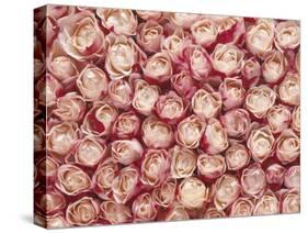Roses-Brigitte Wegner-Stretched Canvas