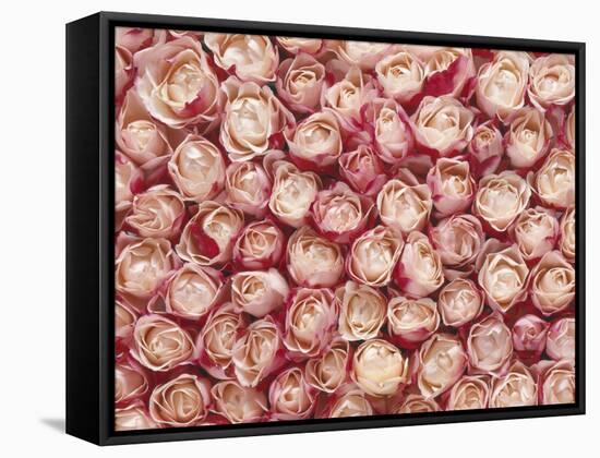 Roses-Brigitte Wegner-Framed Stretched Canvas