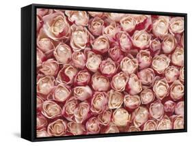 Roses-Brigitte Wegner-Framed Stretched Canvas