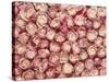 Roses-Brigitte Wegner-Stretched Canvas