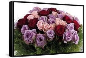 Roses-Fabio Petroni-Framed Stretched Canvas