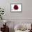 Roses-Fabio Petroni-Framed Photographic Print displayed on a wall