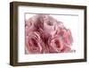 Roses-Fabio Petroni-Framed Photographic Print