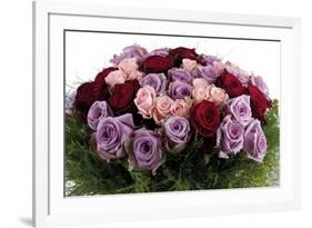 Roses-Fabio Petroni-Framed Photographic Print