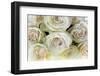 Roses-Fabio Petroni-Framed Photographic Print