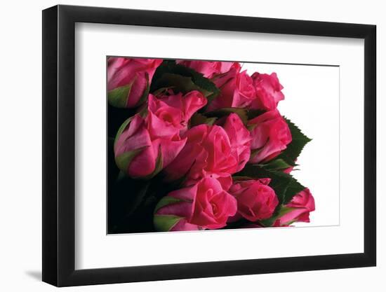 Roses-Fabio Petroni-Framed Photographic Print