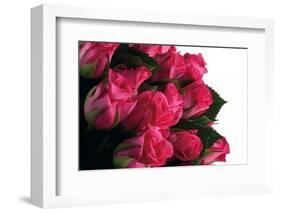 Roses-Fabio Petroni-Framed Photographic Print