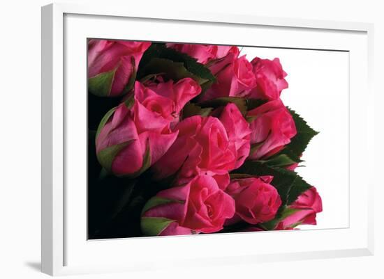 Roses-Fabio Petroni-Framed Photographic Print