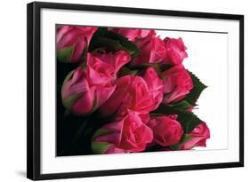 Roses-Fabio Petroni-Framed Photographic Print