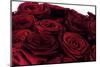 Roses-Fabio Petroni-Mounted Photographic Print