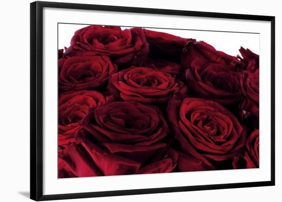 Roses-Fabio Petroni-Framed Photographic Print