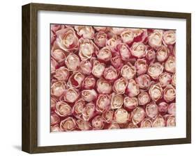 Roses-Brigitte Wegner-Framed Photographic Print