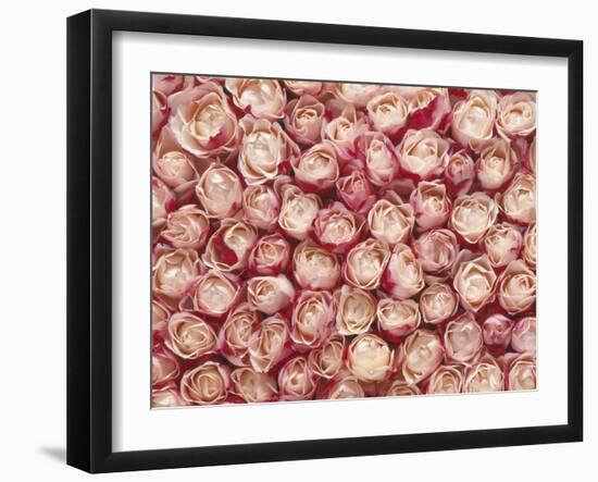 Roses-Brigitte Wegner-Framed Photographic Print