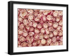 Roses-Brigitte Wegner-Framed Photographic Print