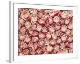 Roses-Brigitte Wegner-Framed Photographic Print